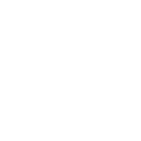 Project and Asset Valuations