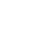Due Diligence